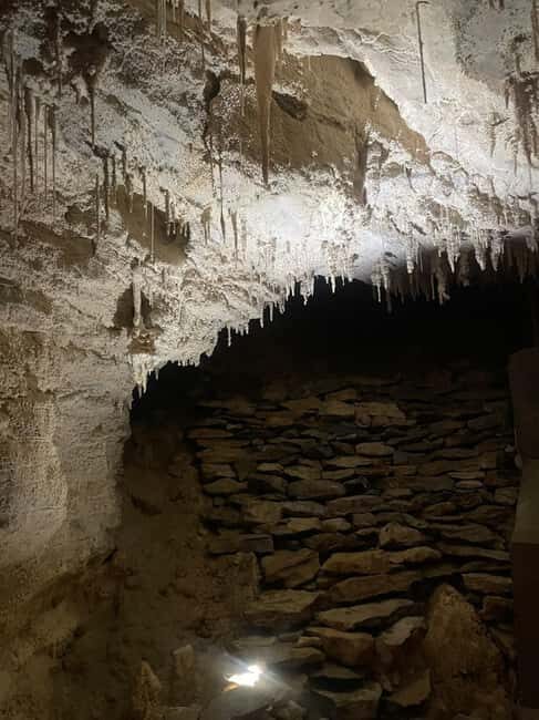 From Auckland: Waitomo Caves and Kiwi House Group Tour - An In-Depth Look at the Tour Experience