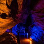 From Auckland: Waitomo Glowworm and Ruakuri Caves Day Tour - Practical Details: Transportation, Timing, and Cost