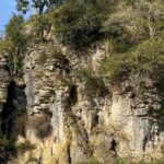 From Auckland: Waitomo Glowworm & Cave Explorer Small Group Tour - What We Love About This Tour
