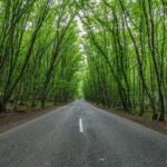 From Baku: Greater Caucasus Full-Day Tour - Detailed Breakdown of the Itinerary