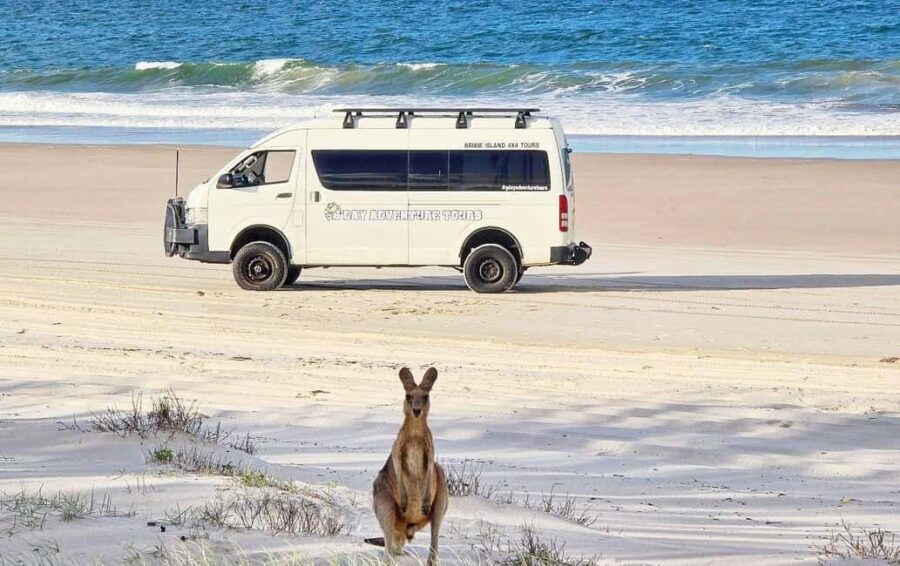 From Brisbane: Bribie Island Day Trip - FAQ