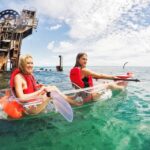 From Brisbane: Moreton Island Full-Day Trip - Key Points