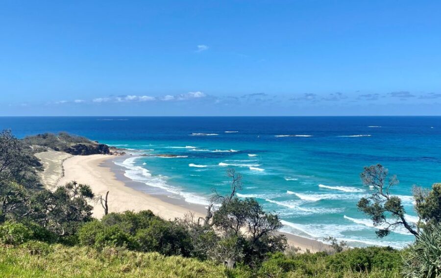 From Brisbane: North Stradbroke Island Wildlife Adventure - First Stops: Brown Lake and Myora Springs