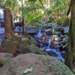From Brisbane: Tamborine Mountain and Paradise Point Tour - Discovering the Charm of Tamborine Mountain