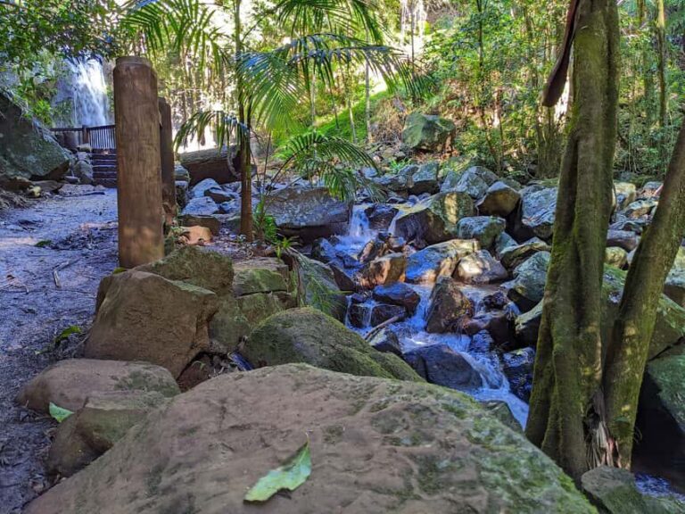From Brisbane: Tamborine Mountain and Paradise Point Tour - Discovering the Charm of Tamborine Mountain