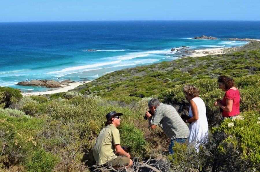 From Busselton: Half-Day Coastal and Wildlife Eco Tour - Why the Tour Offers Great Value