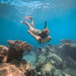 From Cairns: 2 Islands 1 day - Fitzroy & Green Islands - Who Should Consider This Tour?