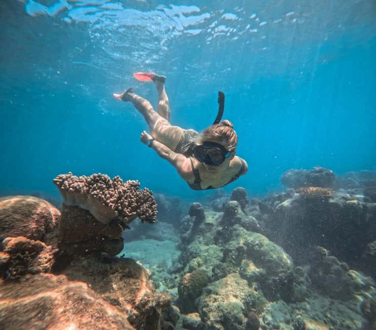 From Cairns: 2 Islands 1 day - Fitzroy & Green Islands - Who Should Consider This Tour?