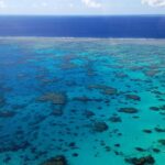 From Cairns: 40-Min Scenic Reef Window Seat Airplane Flight - Is It Worth the Price?
