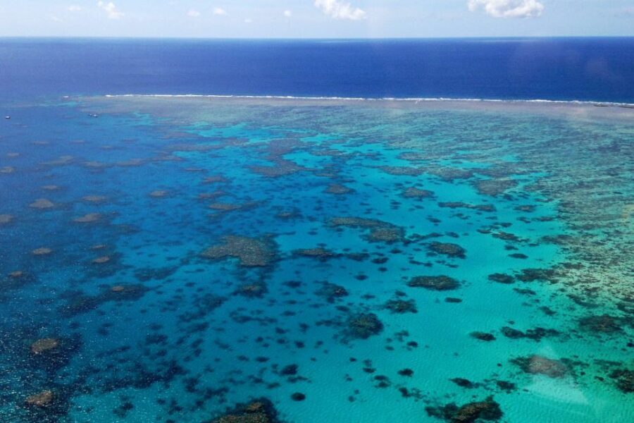 From Cairns: 40-Min Scenic Reef Window Seat Airplane Flight - Is It Worth the Price?