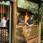 From Cairns: Chillagoe Caves and Outback Full-Day Tour - The Experience: What’s Included and What’s Not