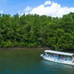 From Cairns: Daintree Rainforest & Cape Tribulation 4WD Tour - The Value Proposition