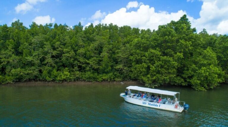 From Cairns: Daintree Rainforest & Cape Tribulation 4WD Tour - The Value Proposition