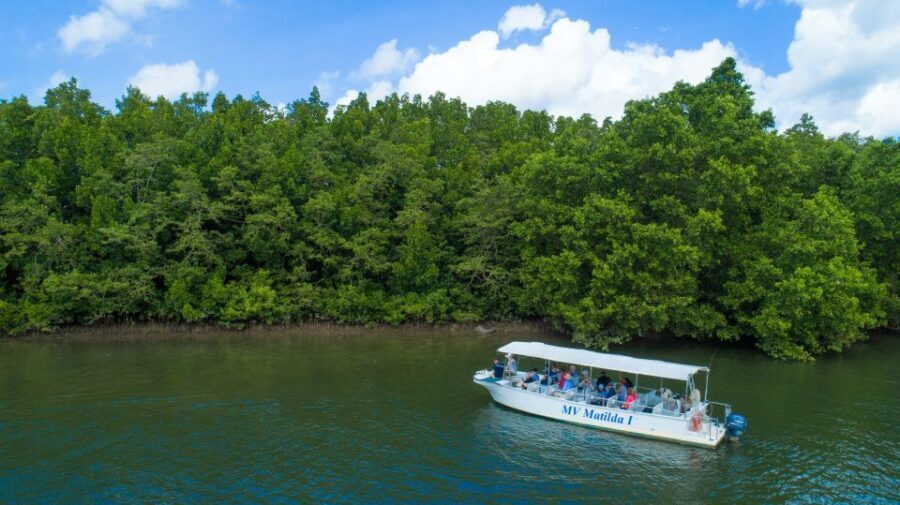 From Cairns: Daintree Rainforest & Cape Tribulation 4WD Tour - The Value Proposition