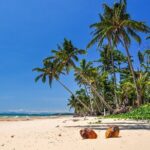 From Cairns: Dunk Island Day Tour - The Ferry Ride: Scenic and Relaxing
