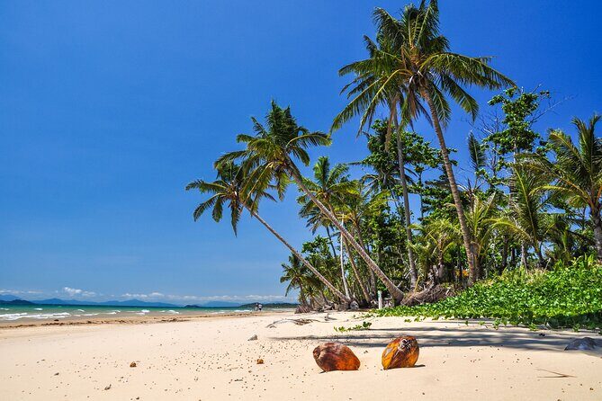 From Cairns: Dunk Island Day Tour - The Ferry Ride: Scenic and Relaxing