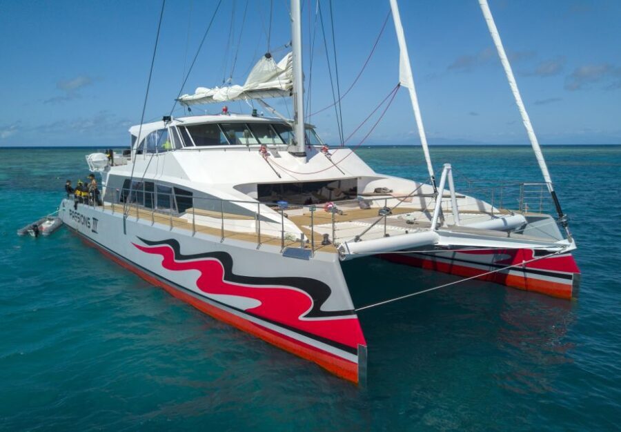 From Cairns: Great Barrier Reef Cruise by Premium Catamaran - The Itinerary Breakdown: What to Expect