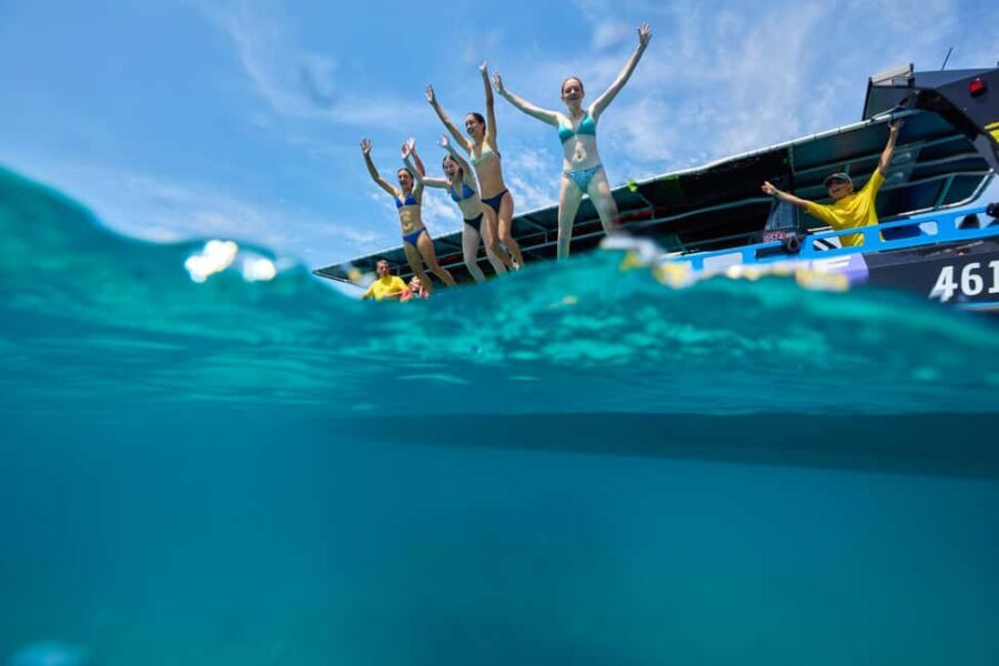 From Cairns: Great Barrier Reef Half-Day Snorkeling Tour - The Reef and Snorkeling Stops