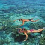 From Cairns: Green Island Half-Day Morning Cruise - Who Is This Tour Best For?