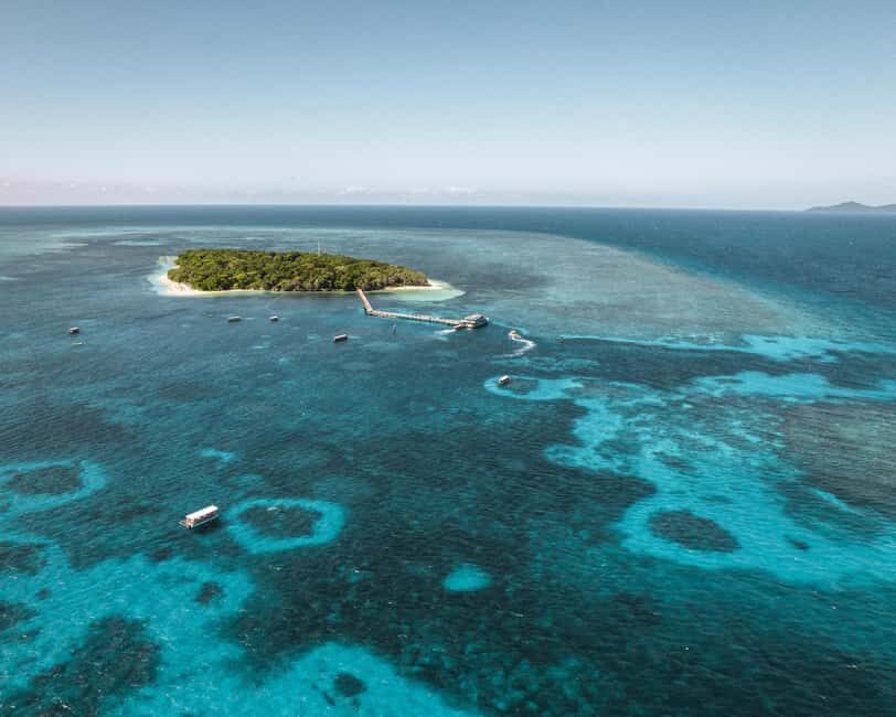 From Cairns: Half-Day Afternoon Cruise to Green Island - The Itinerary: What You Can Expect from the Cruise