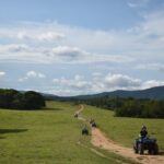 From Cairns: Kuranda Day Trip with Petting Zoo and Quad Ride - What Makes This Tour Stand Out?