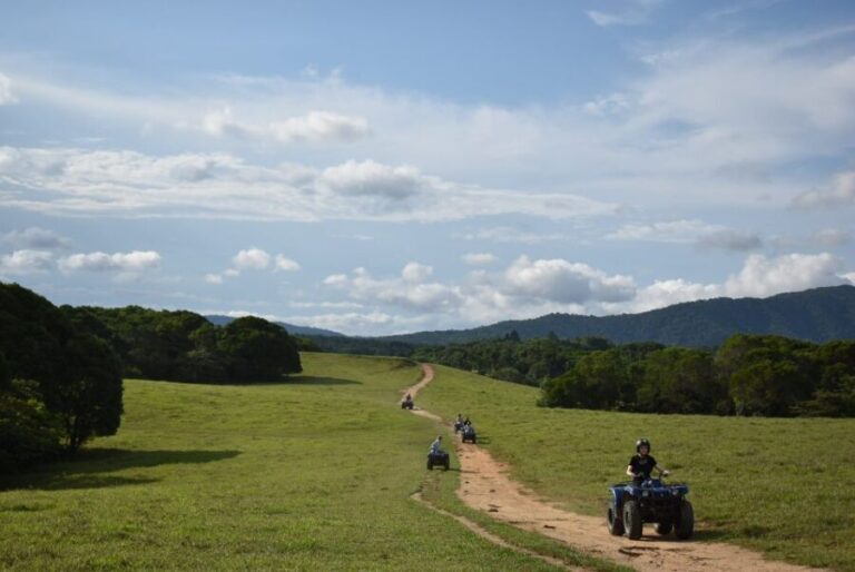 From Cairns: Kuranda Day Trip with Petting Zoo and Quad Ride - What Makes This Tour Stand Out?