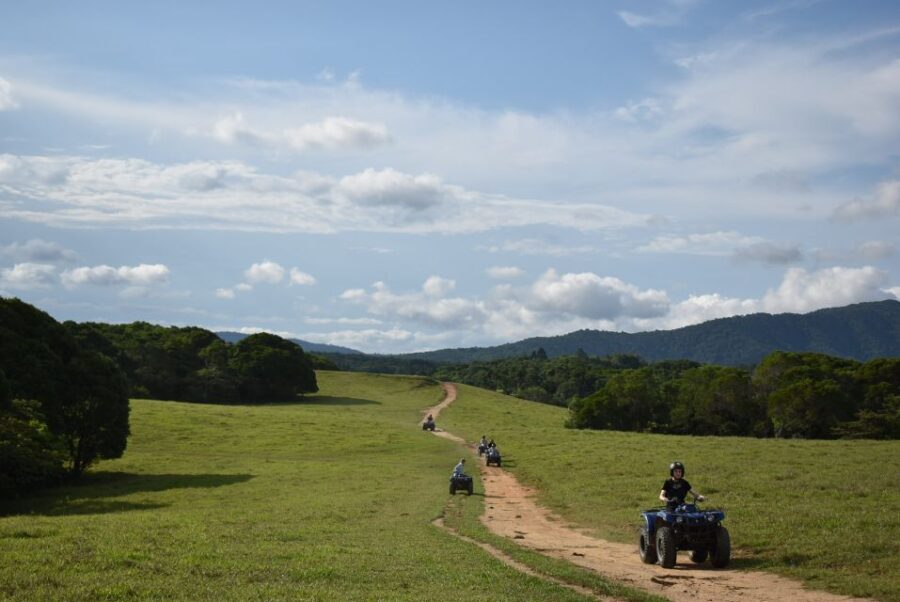 From Cairns: Kuranda Day Trip with Petting Zoo and Quad Ride - What Makes This Tour Stand Out?