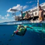 From Cairns: Moore Reef, Fitzroy Island Tour with Helicopter - Exploring the Itinerary in Detail
