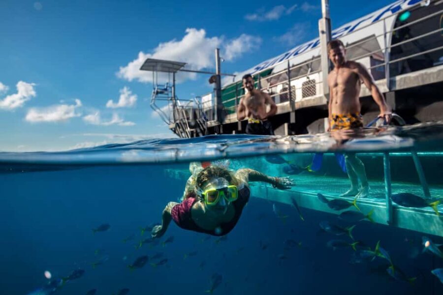 From Cairns: Moore Reef, Fitzroy Island Tour with Helicopter - Exploring the Itinerary in Detail