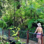 From Cairns: Waterfall Tour with Lunch - The Realistic Value of the Tour