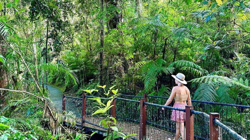 From Cairns: Waterfall Tour with Lunch - The Realistic Value of the Tour