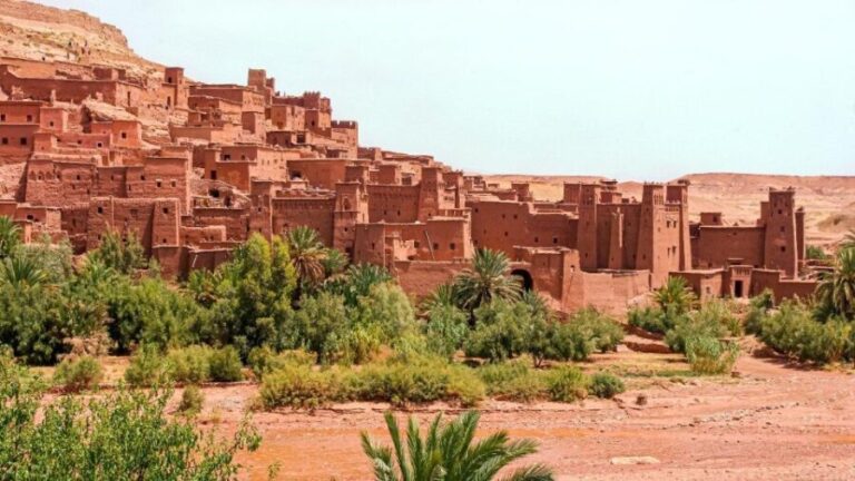 From Cairo: 4-Days Siwa Oasis Odyssey - How the Experience Delivers Value