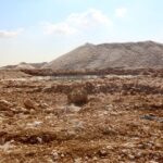 From Cairo: 5-Day Siwa Oasis Private Trip with Accommodation - Comfort, Value, and Authenticity