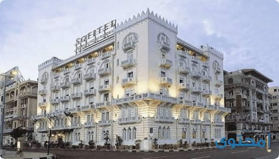 From Cairo: Alexandria and El-Alamein Tour with Overnight - Exploring Alexandria’s Ancient and Modern Wonders
