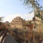 From Cairo: Fayoum Oasis and Wadi Al Rayan Guided Tour - Who Will Enjoy This Tour?