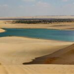 From Cairo: Full-Day Tour To El Fayoum - Transportation and Value