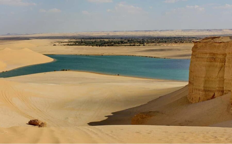 From Cairo: Full-Day Tour To El Fayoum - Transportation and Value