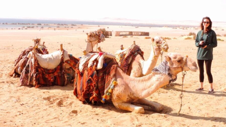 From Cairo : Overnight Camping Adventure in El-Fayoum Oasis - A Detailed Look at What to Expect