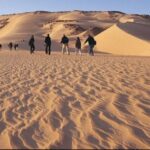 From Cairo: Whale Valley and Wadi El Rayan Waterfalls Tour - What Makes This Tour Stand Out?