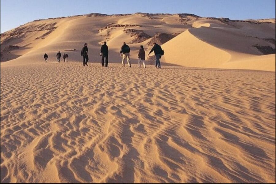 From Cairo: Whale Valley and Wadi El Rayan Waterfalls Tour - What Makes This Tour Stand Out?
