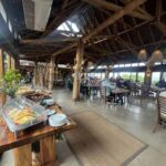 From Cape Town: 2-Day Garden Route Safari - Visiting Cape Agulhas: The Southernmost Tip