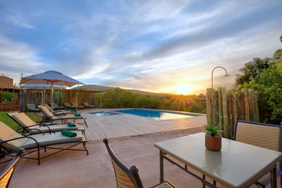 From Cape Town: 2-Day Safari at Garden Route Game Lodge - What to Expect from This 2-Day Safari Adventure
