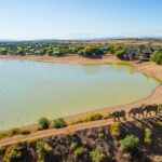 From Cape Town: 3-Day Garden Route Highlights and 4x4 Safari - Practical Tips for Travelers