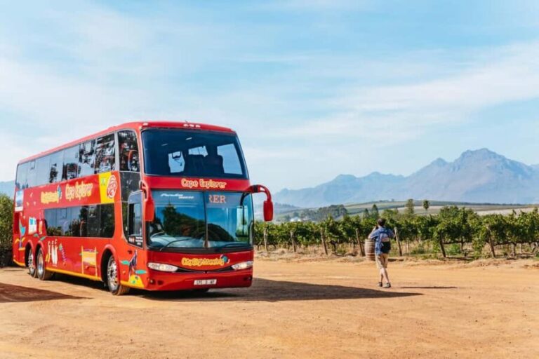 From Cape Town: 3 Regions Wine Tour with 3 Estates, 15 Wines - Experience Breakdown