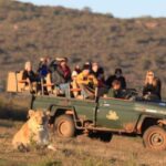 From Cape Town: 5-Day Garden Route & Addo Elephant Park Tour - Highlights and Notable Experiences