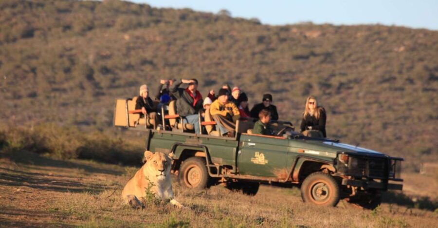 From Cape Town: 5-Day Garden Route & Addo Elephant Park Tour - Highlights and Notable Experiences