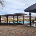 From Cape Town Aquilla sunset safari With transport included - The Scenic Route Back: Relaxing and Reflecting