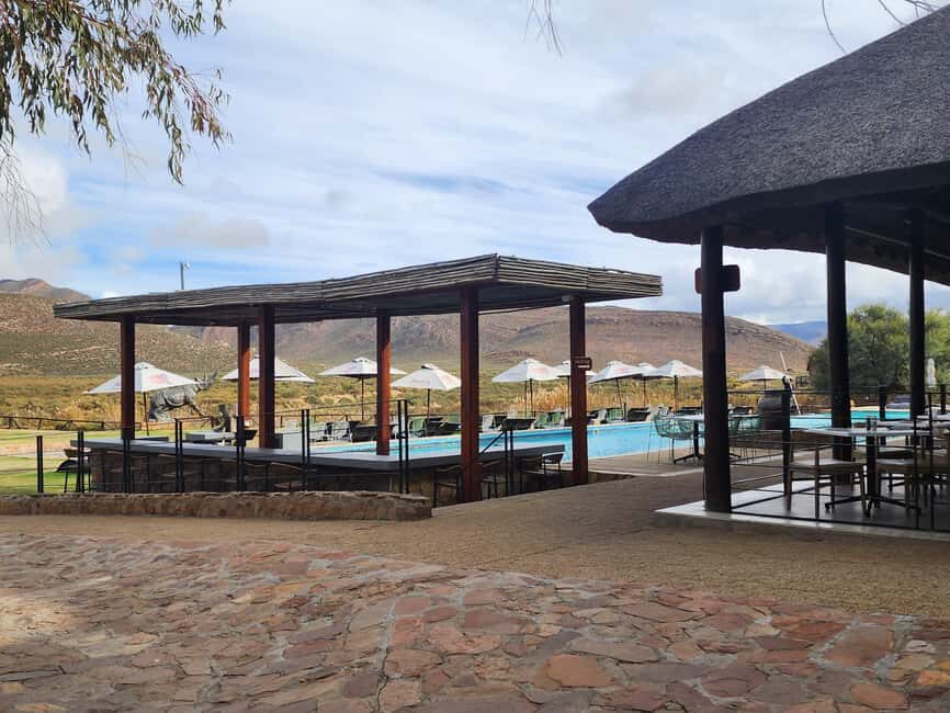 From Cape Town Aquilla sunset safari With transport included - The Scenic Route Back: Relaxing and Reflecting