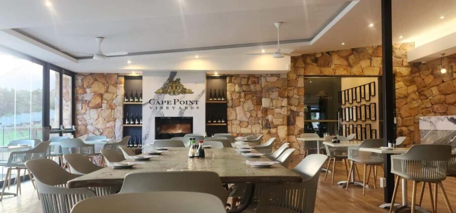 From Cape Town: Cape Peninsula Full-Day Private Tour - The Guide and Transportation Experience