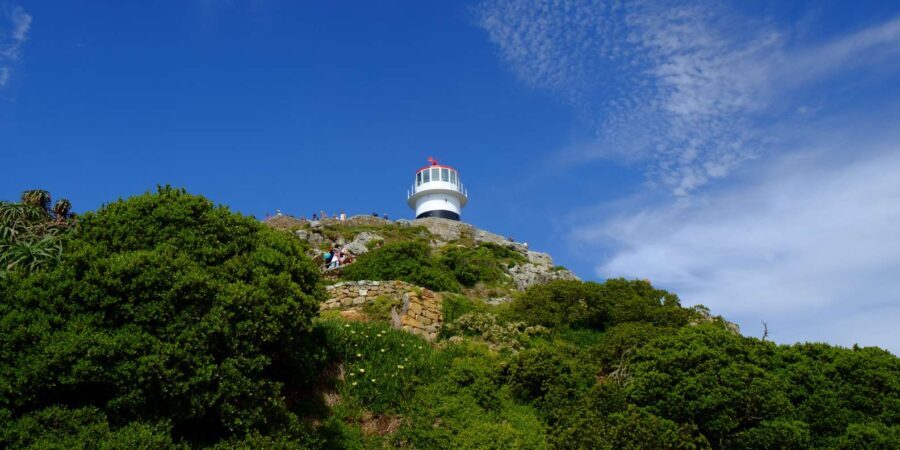 From Cape Town: Cape Point and Boulders Beach Half-Day Tour - Exploring the Itinerary